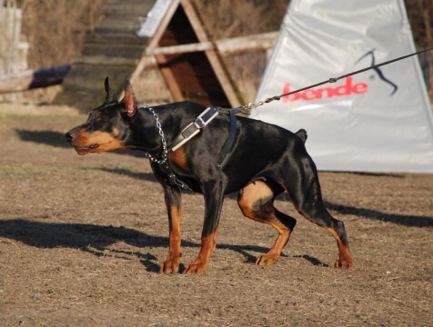 Training in Estonia 30.3 - 1.4. 2007